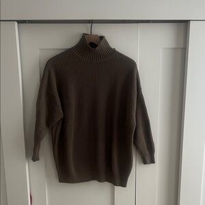 Zara Turtleneck Sweater in Brown